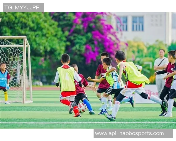 葡萄与中国足球的奇妙结合探索运动与健康的美好人生 葡萄与中国足球的奇妙结合探索运动与健康的美好人生